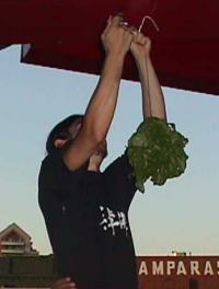 Alumno Tomás Mascaró preparando la lechuga en la entrada de la Escuela central